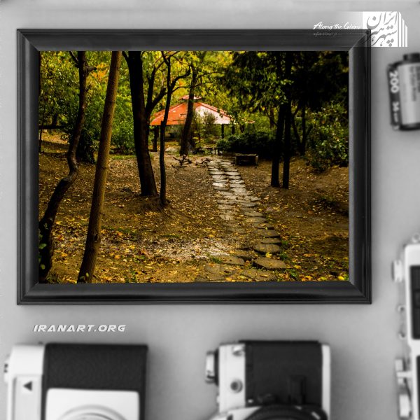 باران پاییزی پارک ملی فین چشم اندازهای طبیعت ایران