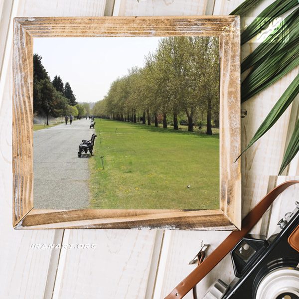 عکس با کیفیت پارک ملی گیاهان ایران