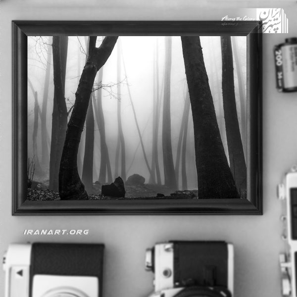 قطعه عکس چشم اندازهای طبیعت ایران، جنگل خیال انگیز