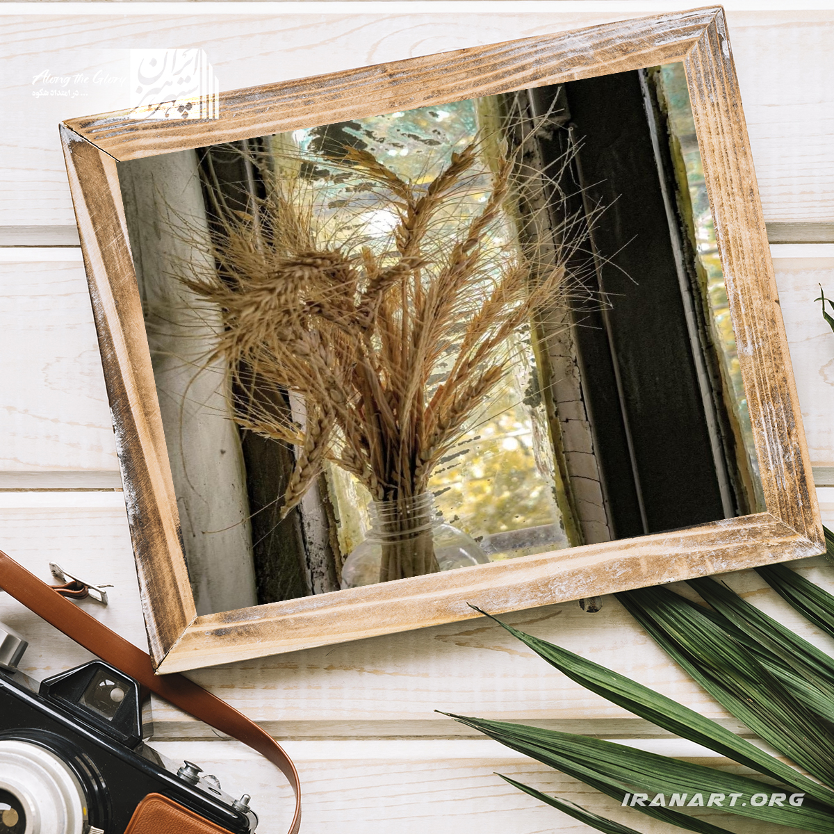 قطعه-عکس-گندم-و-پاییز1 قطعه عکس گندم و پاییز - Image 1