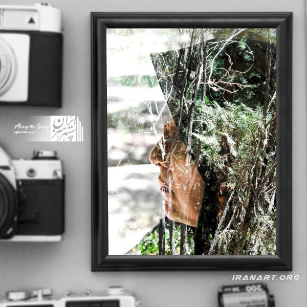 چندنگاره مولتی اکسپوژر «جنگل خیال انگیز»