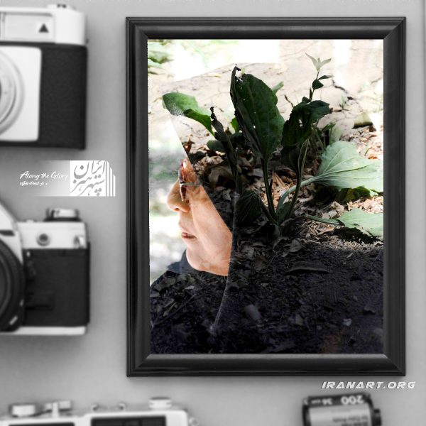 چندنگاره مولتی اکسپوژر طبیعت خیال